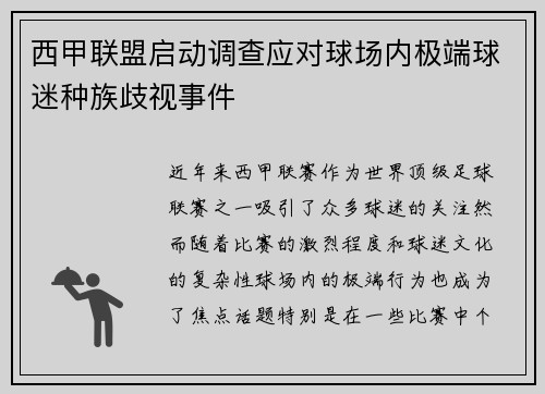 西甲联盟启动调查应对球场内极端球迷种族歧视事件